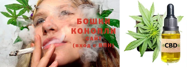прущие грибы Краснослободск