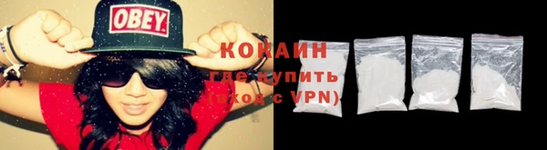 прущие грибы Краснослободск