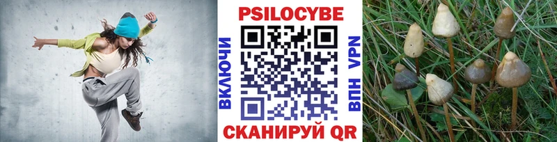 ОМГ ОМГ как войти  Элиста  Галлюциногенные грибы Magic Shrooms  где найти наркотики 
